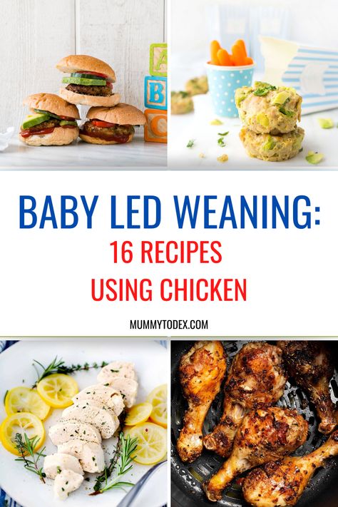 Chicken Blw Baby, Chicken Recipes For Baby Led Weaning, Blw Chicken Recipes, Baby Chicken Recipe, Chicken Recipes For Babies, Blw Chicken, Chicken For Babies, Baby Led Weaning Chicken, Blw Dinner