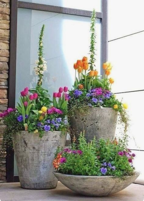 Tanaman Pot, نباتات منزلية, Small Front Yard Landscaping, Container Garden Design, Small Front Yard, Desain Lanskap, Container Gardening Flowers, Cement Planters, Garden Containers