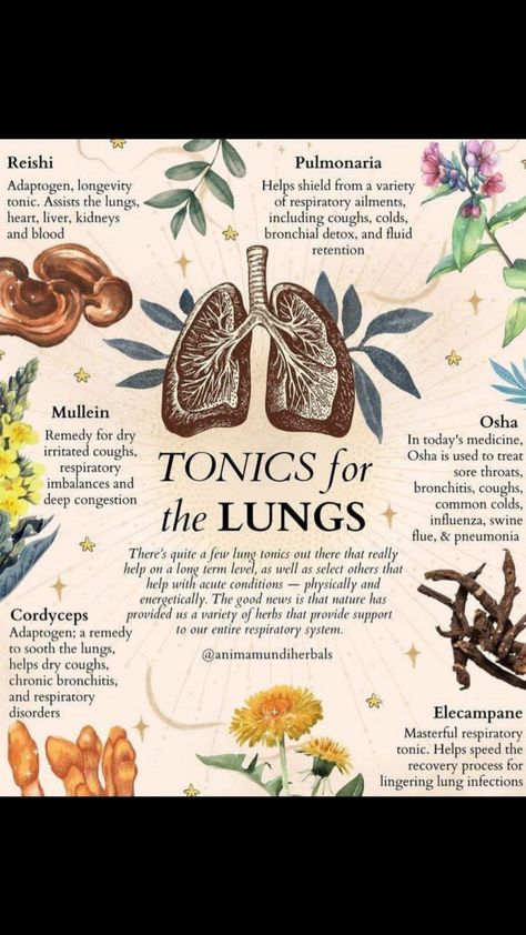 Lung Health, Herbal Remedies Recipes, Medical Herbs, Magic Herbs, Lungs Health, Herbal Recipes, Natural Healing Remedies, Environmental Pollution, Herbal Healing