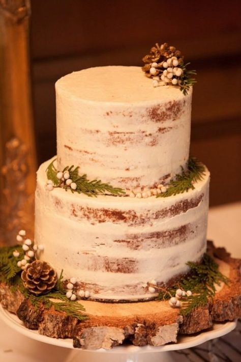 Winter edding cake -  LLC Heather Mayer Photography Christmas Wedding Cakes, Wedding Cake Tops, Winter Wedding Favors, Rustic Winter Wedding, Winter Wedding Cake, Wedding Cake Rustic, Simple Wedding Cake, Rustic Cake