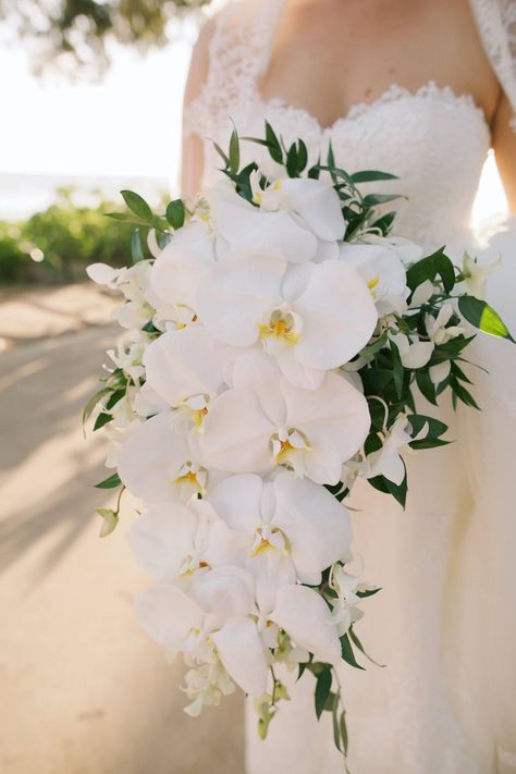 Cascading ivory orchid bridal bouquet by Petals -- Anna Kim Photography White Orchid Bouquet, Orchid Bridal Bouquets, Orchid Bouquet Wedding, Orchid Centerpieces, Cascading Wedding Bouquets, Anna Kim, Orchid Bouquet, Wedding Bouquets Bride, Bridal Bouquet Flowers