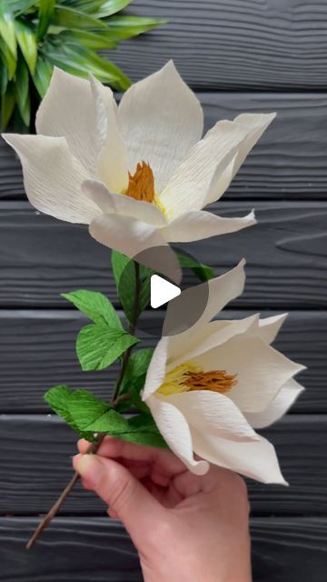 Ideas Casamiento, Crepe Paper Flowers Tutorial, Paper Flower Diy, Crepe Paper Flower, Lost Forever, Paper Craft Tutorials, Crepe Paper Flowers, Giant Paper Flowers, Flower Diy