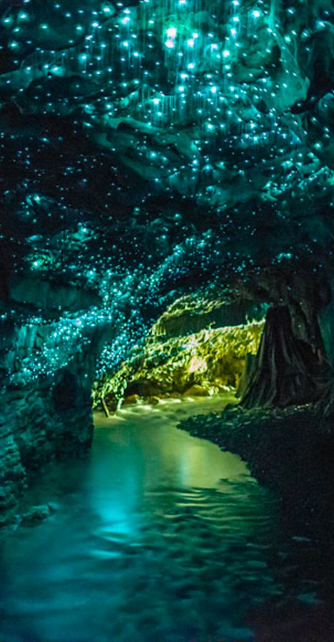 Waitomo Glowworm Caves near Otorohanga on New Zealand's North Island • photo: Kristin Pierce on Flickr Glowworm Caves, The Tourist, Alam Semula Jadi, Magical Places, Places Around The World, Tourist Attraction, Vacation Spots, Dream Vacations, Travel Dreams