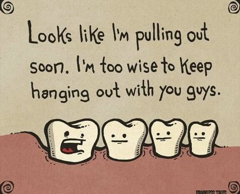 Tooth Extraction Aftercare, Wisdom Teeth Funny, Tooth Extraction Healing, Tooth Implant, Teeth Humor, Sensitive Teeth Remedy, Wisdom Tooth Extraction, Wisdom Tooth, Dental Jokes