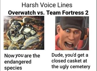 Tf2 Vs Overwatch, Voice Lines, Tf2 Funny, Funny Gaming Memes, Tf2 Memes, Team Fortess 2, Video Game Memes, The Dude, Quality Memes