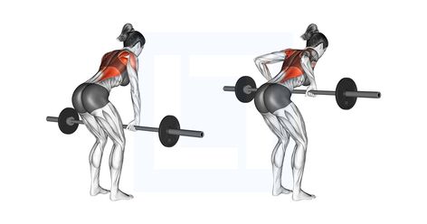 Lat Workouts, Upright Barbell Row, Seated Cable Row, Barbell Workouts, Lat Workout, Chest And Tricep Workout, Back Workout Routine, Hip Extension, Bent Over Row