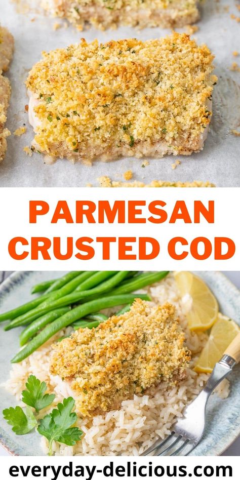 Parmesan Crusted Cod - Everyday Delicious Cod Pan Seared, Parmesan Crusted Cod, Parmesan Crusted Fish, Crusted Cod, Meal Rotation, Trout Recipes, Butter Crust, Cod Recipes, Parmesan Crusted