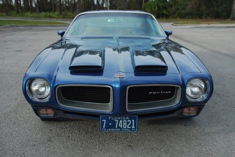 1970 Pontiac Firebird Formula 400 Front and Hood 1963 Chevy Impala, Firebird 400, Pontiac Firebird Formula, Car Stripes, Chevy Impala Ss, Firebird Formula, Pontiac Cars, Firebird Trans Am, Trans Am