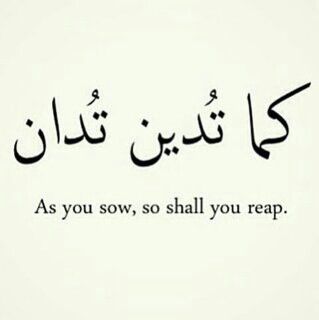 As you #sow, so shall you #reap. What You Sow So Shall You Reap, As You Sow So Shall You Reap Quotes, You Reap What You Sow Tattoo, You Reap What You Sow Quotes, Reap What You Sow Tattoo, You Reap What You Sow, Desert Quotes, Desert Quote, Reap What You Sow