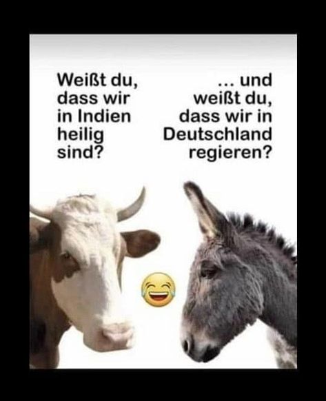 Politischer Humor, Smiley Emoji, Facebook Humor, Funny Slogans, Wise Quotes, Meme Pictures, New Memes, Cool Words, Top 10