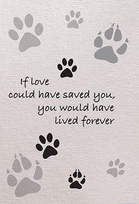 Dog In Heaven Quotes, Tattoo For Cat That Passed, Cat In Heaven, Pet Sympathy Quotes, Dog Heaven Quotes, Die Quotes, Miss My Dog, Dog Poems, Dog Memorial Tattoos