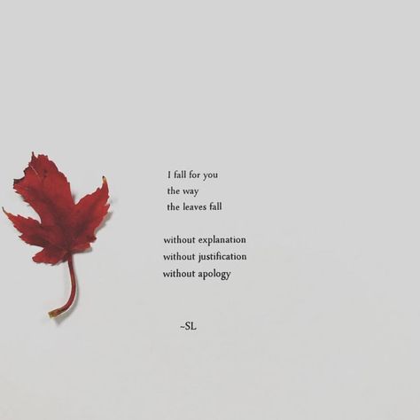 poets of instagram on Instagram: “🍁” Loving Someone You Can't Have, Crazy Girl Quote, Real Love Quotes, Autumn Quotes, Flower Quotes, Personal Quotes, Poem Quotes, Couple Quotes, Deep Thought Quotes