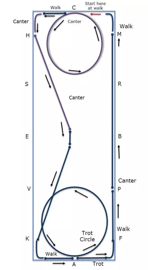 Horse Flatwork, Flatwork Exercises Horses, Equine Exercises, Dressage Exercises, Horse Training Exercises, Equine Care, Horse Lessons, Dressage Training, Riding Tips