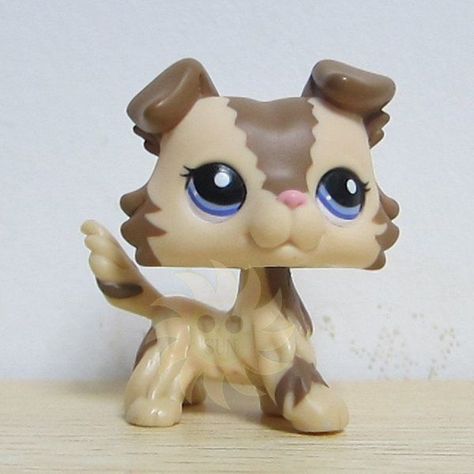 Lps Clothes, Lps Collie, Lps Drawings, Old Lps, Lps Dog, Mocha Cream, Lps Collection, Lps Accessories, Lps Custom