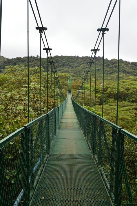 The Selvatura Adventure Park in Monteverde, Costa Rica Costa Rica Backpacking, Monteverde Costa Rica, Costa Rica Vacation, Monteverde, Costa Rica Travel, Gap Year, Adventure Park, Vacation Places, Travel Bucket List