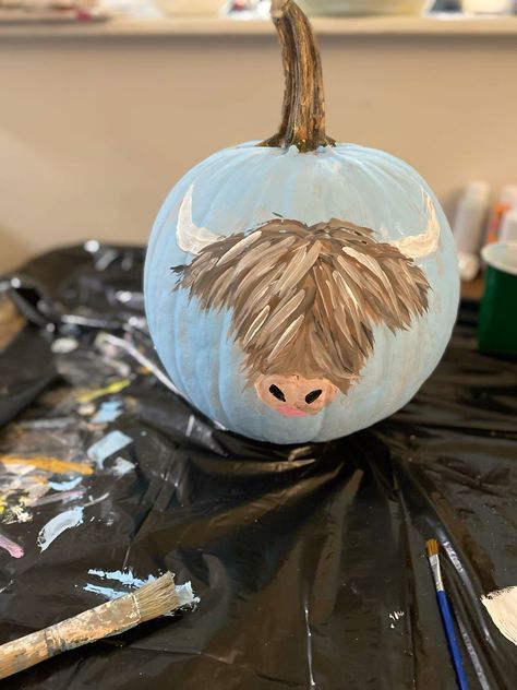 Highland Cow Painted Pumpkin, Cow Painted Pumpkin Ideas, Pumpkin Cow Painting Ideas, Western Carved Pumpkins, Cowgirl Pumpkin Painting, Elephant Pumpkin Painting, Cute Western Pumpkin Painting Ideas, Painted Cow Pumpkins, Pumpkin Cow Painting