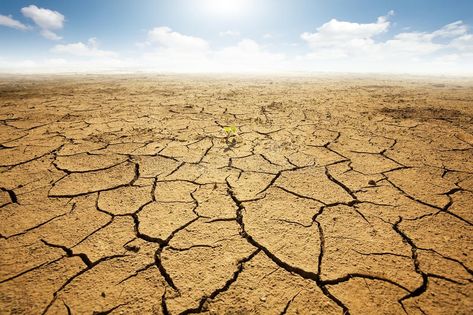 Dried land with cracked ground. Desert , #Ad, #land, #Dried, #cracked, #Desert, #ground #ad California Drought, Watercolor On Wood, Wall Decor Pictures, Glass Pictures, Desert Landscaping, Canvas Pictures, Picture Wall, Graphic Art Print, Frames On Wall