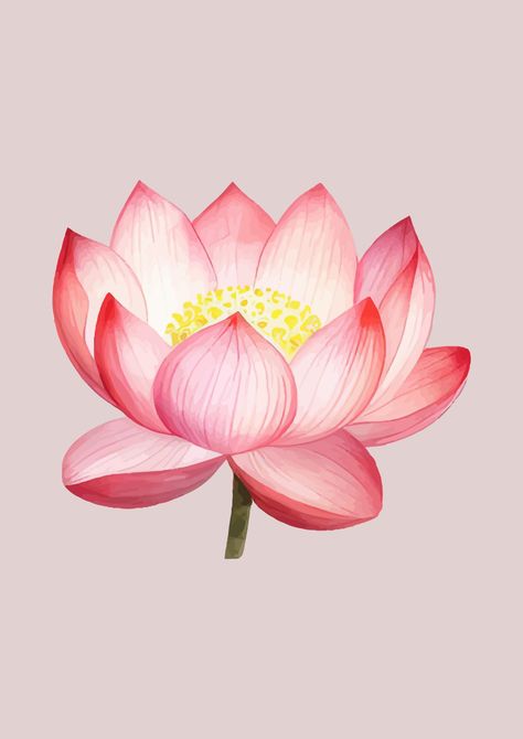 Lovely lotus in bloom! Purchase this lovely print and brighten up any space. A lotus flower has a great significance of growing through hard times as even though it has to grow through mud and water it still blooms on the other side. Also a lovely gift. Other digital flower and pribt packs available to purchase. Lotus Flower Leaf, Pink Lotus Flower, Lotus Flower Pictures, Digital Flower, Lotus Print, Pink Lotus, Digital Flowers, Print Pink, Hard Times