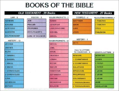 Learn the Books of the Bible The Books Of The Bible, Book Of The Bible, New Testament Books, Chronological Order, Bible Facts, Scripture Study, Bible Crafts, Bible Knowledge, Bible For Kids