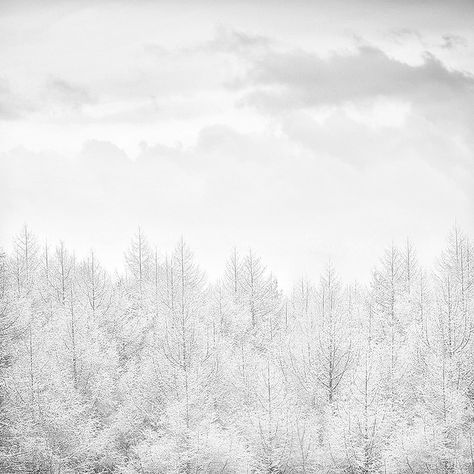 winter Winter Schnee, Blue Theme, Winter's Tale, I Love Winter, Blue Winter, Winter Love, Winter Magic, White Snow, Winter Scenery