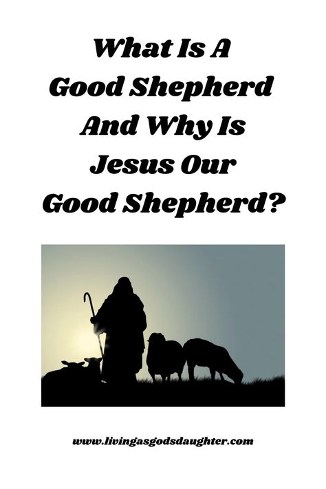 God is referred to as the Good Shepherd and Christians are his sheep. Ever wonder why Jesus proudly call himself the Good Shepherd? This blog post looks at the real life of an ancient shepherd and how much work being a shepherd. Good Shepherd Craft Sunday School, Cousin Day, Shepherd And Sheep, Jesus Shepherd, Jesus The Good Shepherd, Advent Prayers, Good Shepard, Psalms 23, Childrens Sermons