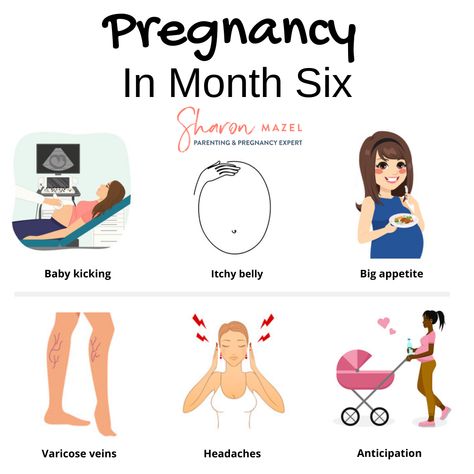 It’s the end of your second #trimester! Working our way through each month of #pregnancy in these bite-sized posts! Here are some symptoms and experiences you might be having in the sixth month of pregnancy. Get ready for your third trimester with my #free pregnancy #newsletters! Come back to follow along for pins about the rest of pregnancy. Baby Journal Book, Hayat Pics, Pediatric Clinic, Women Things, Healthy Baby Boy, Pregnancy Timeline, Pregnancy Facts, Pregnancy Help, Egg Quality