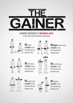 The Gainer Workout Arms Workout At Home, Dumbell Workout, Arms Workout, Full Body Workout Routine, Gym Workout Chart, Exercise Ideas, Hip Flexors, Workout Posters, Weight Training Workouts