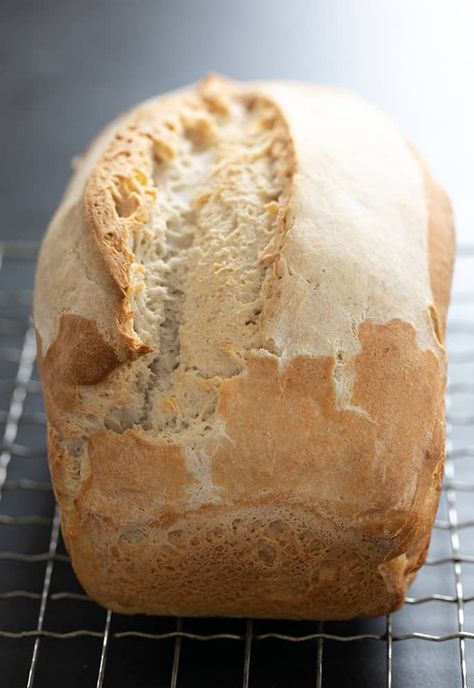 Gluten Free Sourdough Bread | No "Regular" Yeast Gluten Free Sourdough Bread Recipe, Wild Yeast Starter, Gluten Free Sourdough Starter, Gluten Free Sourdough Bread, Gluten Free Milk, Yeast Starter, A Loaf Of Bread, Pan Sin Gluten, Gluten Free Sourdough