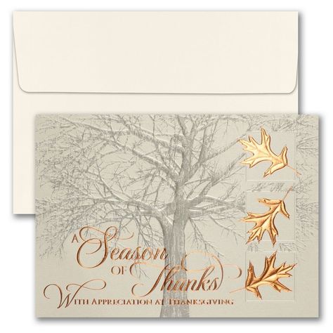 "Purchase the JAM Paper Blank Copper Thanksgiving Thank You Cards & Envelopes Set, 25ct. at Michaels. com. Thanksgiving is the perfect time to show you how thankful you are for your family, friends, even coworkers. So be extra thankful this year with our Happy Thanksgiving Card Sets! Thanksgiving is the perfect time to show you how thankful you are for your family, friends, even coworkers. So be extra thankful this year with our Happy Thanksgiving Card Sets! Hand them out to all of your friends, Thanksgiving Card, Leaf Cards, Jam Paper, The Jam, Making Greeting Cards, Thanksgiving Cards, Fall Cards, Happy Thanksgiving, Card Set