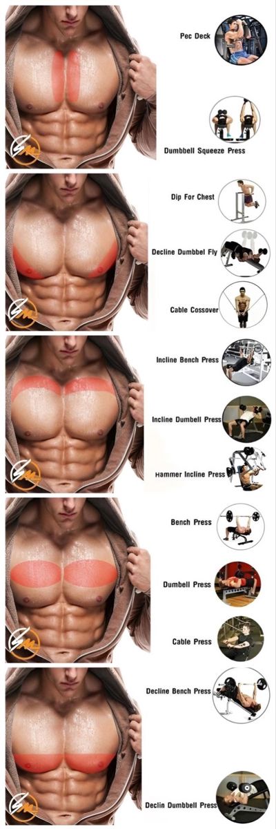 Lichaamsgewicht Training, Perut Six Pack, Latihan Dada, Motivație Fitness, Muscle Abdominal, Chest Muscles, Trening Fitness, Chest Workouts, Trening Abs