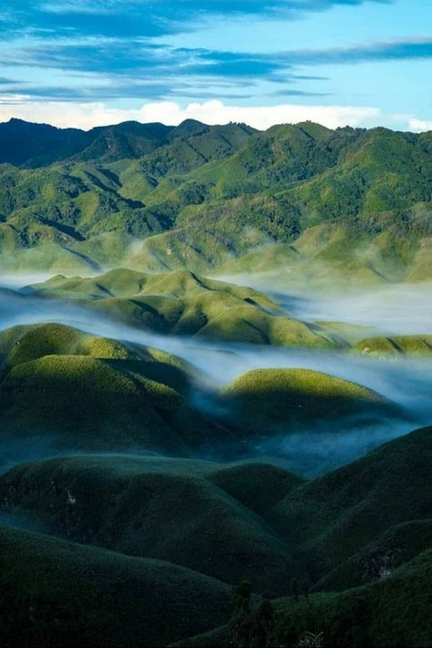 A lush green valley with rolling hills that starkly contrasts the forests surrounding it - this is Dzukou Valley, which sits on the border of Nagaland and Manipur.  Dzükou Valley/ Wikimedia CommonsWith a breathtaking view at the end, the trek to this valley is mistakenly believed by many to be 'easy' since it is sans the rocky mountains like in the Himalayas. But the steep climb through dense forests, prickly bushes and slippery tracks is anything but... Dzukou Valley Nagaland, Dzukou Valley, Valley Of Flowers, Northeast India, Travel Pictures Poses, On The Border, The Rocky Mountains, Green Valley, The Himalayas