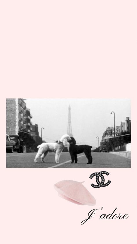 Fashion Pink Wallpaper, Paris Iphone Wallpaper, Girly Lockscreen, Girly Homescreen Wallpaper, Pink Paris Aesthetic, Paris Pink, Pink Paris Wallpaper, Paris Aesthetic Wallpaper, Luxurious Wallpaper