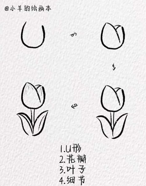 How To Draw Tulips, Tulips, To Draw, Tattoo Designs, Tattoos