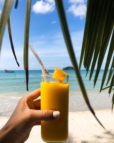 Wanna try a fresh mango smoothies, right at the beach with us? Let’s come here for a day or two 😎🏖🌅🌿🌴 #adangislandresort #discoverkohadang Mango Smoothie Aesthetic, Beach Smoothie, Mango Aesthetic, Smoothie Aesthetic, Food Shoot, Mango Cocktail, Seaside Cafe, Koh Lipe, Song Covers