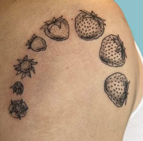 Life Cycle Of A Strawberry, Strawberry Life Cycle, Cycle Tattoo, Minneapolis Tattoo, Epic Tattoos, Edits Background, Tattoo Dream, Strawberry Tattoo, Flash Tats