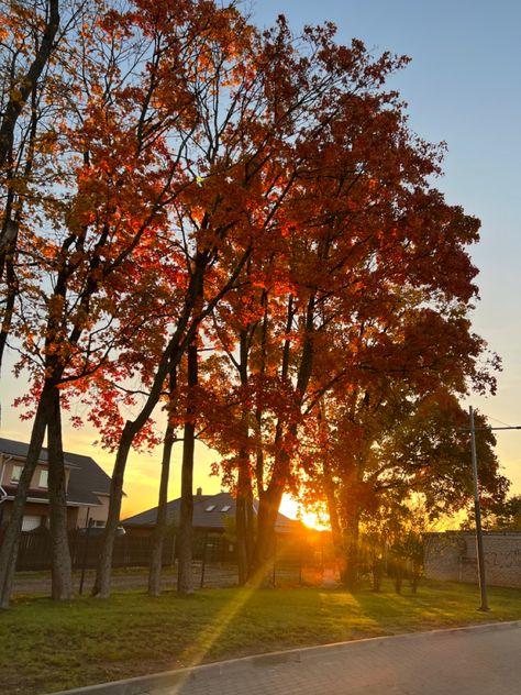 Autumn sunrise aesthetic Fall Sunrise Aesthetic, Autumn Sunrise Aesthetic, Autumn Morning Aesthetic, Fall Morning Aesthetic, Fall Sunrise, Autumn Sunrise, Sunrise Mountain, Sunrise Aesthetic, Morning Aesthetic