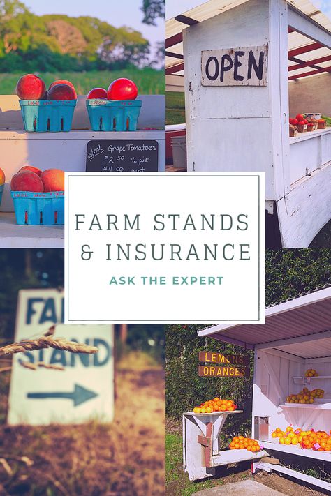 Scenario: I have a blueberry farm and want to add a farm stand to my property. What kind of insurance do I need? If you have a farm, you more than likely have a hobby farm or traditional farm insurance policy. The liability from your farm policy may extend to the farm stand on your premise. If you want physical damage coverage for the physical stand or structure, you will want to add it to your farm building policy. Farm Stand Honor System, How To Build A Farmstand, Homestead Farm Stand, Farm Stand Product Ideas, Honor System Farm Stand, Farm Stand Plans, Roadside Farm Stand Ideas, Diy Farm Stand, Farm Store Ideas