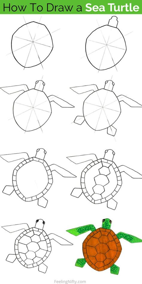 Dive into the world of art and learn how to draw a mesmerizing sea turtle with this beginner-friendly step-by-step tutorial. Create your own masterpiece inspired by these magnificent creatures of the sea. Perfect for all ages from kids to adults. Let your creativity flow and bring the beauty of sea turtles to life on paper! #DrawASeaTurtle #ArtTutorial #BeginnerArt #StepByStepDrawing #SeaTurtleDrawing #ArtInspiration #CreativityUnleashed #LearnToDraw Draw Turtle Easy, Sea Turtle Poster Project, How To Draw Sea Turtle, Sea Turtle Painted Rocks, Sea Turtle Art Project, How To Draw Sea Creatures Step By Step, Sea Turtle Art For Kids, Turtle Crafts For Adults, How To Paint A Turtle