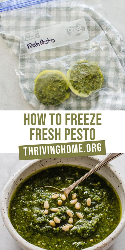 Can you freeze pesto? Absolutely! Using our 10+ years of freezer cooking experience, we are sharing anything and everything you need to know about freezing pesto. How To Freeze Pesto, Freezer Pesto Recipe, Freezer Pesto, Storing Veggies, Freezing Pesto, Homemade Pesto Recipe, Best Freezer Meals, Thriving Home, Freezer Recipes