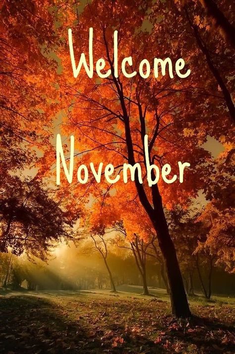 November Pictures, November Images, December Images, Neuer Monat, New Month Quotes, Welcome November, November Quotes, December Wallpaper, Whats Wallpaper