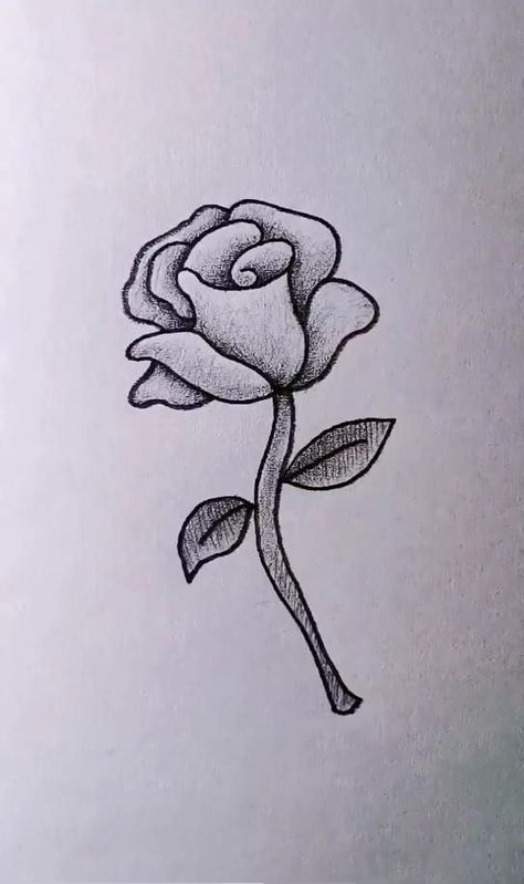 Flower Sketch Pencil, Rose Drawing Simple, Drawing Dragon, Simple Flower Drawing, Cool Easy Drawings, Easy Flower Drawings, Pencil Drawing Images, Pencil Drawings Of Flowers, Pencil Drawings For Beginners