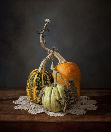 @janewiltshirephotography every season collection // home decor kitchen // fine art illustration // aesthetic room posters // artwork gallery wall // framed art prints // gift ideas birthday // still life photography vintage #season #aesthetic #gift #fineart #framed #artwork #stilllife #decor Pumpkins Photography, Pumpkin Photography, Photoshop Textures Overlays, November 01, Pumpkin Photos, Photo Texture, Digital Texture, Still Life Photos, Still Life Photographers