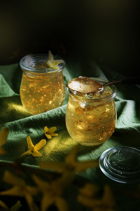 The Magic of Urban Foraging: Golden Forsythia Jelly — The Wondersmith The Wondersmith, Forager Aesthetic, Foraging Aesthetic, Botanical Drinks, Forest Recipes, Urban Foraging, Lucky Ducks, Magical Food, Magic Food