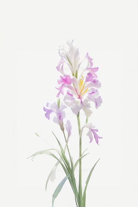 Experience the strength and vibrant beauty of the August Gladiolus Birth Flower. Our floral artwork captures the essence of this beloved August flower, representing courage, strength, and the dynamic charm of nature's tall blooms. #homedecor #watercolor #floral #nature #interiordesign #elegant #home #love #birthflower #gift #giftidea #meaningfulgiftidea #happybirthday #giftbox #birthdaygift #birthdaypresent #weddinggift #aesthetic #minimalist #minimalistic #design #tattooidea August Gladiolus, August Flower, August Birth Flower, Boyfriend Instagram, Gladiolus Flower, Aesthetic Minimalist, Floral Artwork, Creative Tattoos, Birth Flower