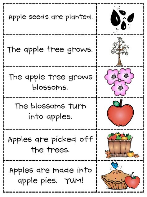 Apple Literacy Activities, Apple Literacy, Apple Lesson Plans, Johnny Appleseed Activities, September Preschool, Preschool Apple Theme, Apple Kindergarten, Apple Week, September Ideas