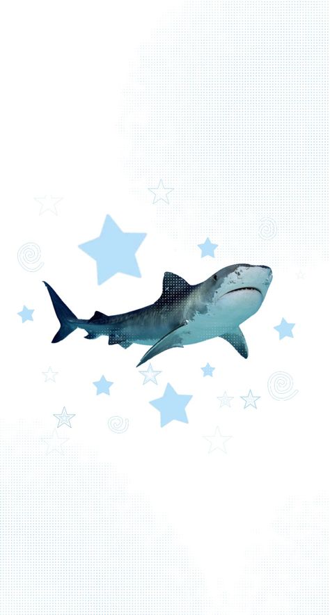 shark marine life wallpapers Shark Wallpaper, The Sky, Stars