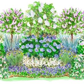 Garden Plan Hydrangea, Part Sun Cottage Garden, Front Shade Garden, Perrenial Shade Garden Plans, Part Shade Garden Plans, Simple Shade Garden, Privacy Garden Plan, Hydrangea Garden Plan, Perennial Shade Garden Layout