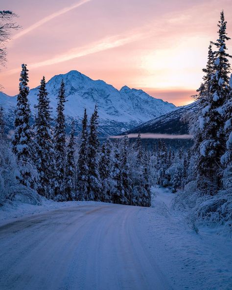 The Alaska Life on Instagram: “Our winter wonderland didn’t last long...who wants it back?! 📷: @photo_brenn ・・・ Snowwwww come baccckkkkkk #alaska #alaskan #thealaskalife…” Winter In Alaska, Alaska Astethic, Alaska Aesthetic Winter, Anchorage Alaska Aesthetic, Alaska In Winter, Alaska Honeymoon, Alaskan Landscape, Pam Godwin, Alaska Christmas