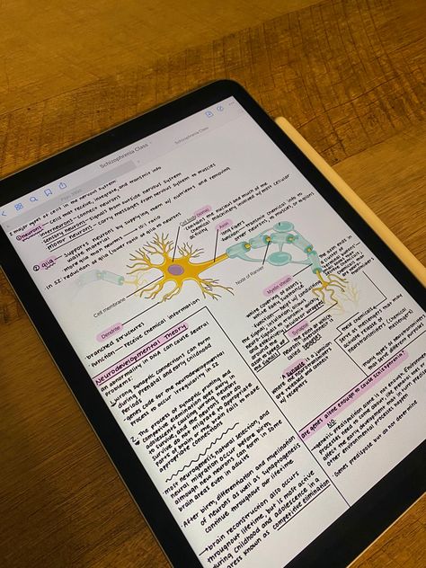 Ipad Goodnotes Aesthetic, Goodnotes College Notes, Pretty Notes Ipad, Neurons Notes, Pretty Ipad Notes, I Pad Notes Aesthetic, Cute Ipad Notes, Good Notes Notes, Goodnotes Aesthetic Notes