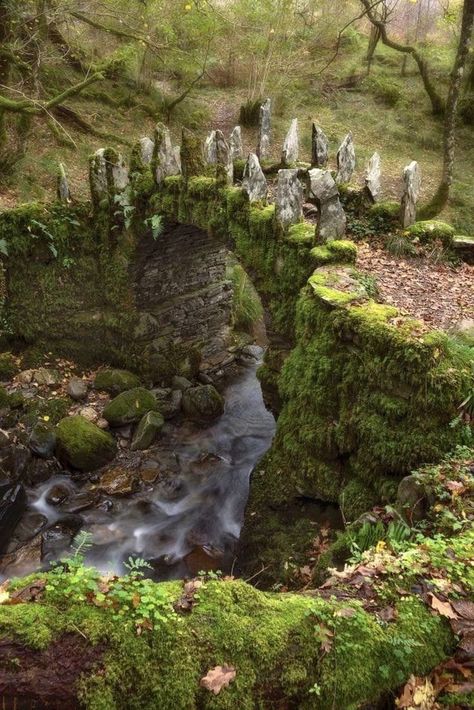 Irish Aesthetic, Fairy Bridge, Rachel Jones, Scotland Landscape, Fantasy Life, Skye Scotland, Photography Workshops, Isle Of Skye, Scotland Travel